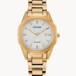 Citizen Corso