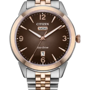 Citizen MEN ECO WR100 SSTRG BRAC BRWN