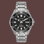 Promaster Dive