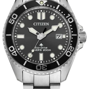 Promaster Dive
