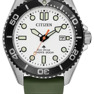 Promaster Dive